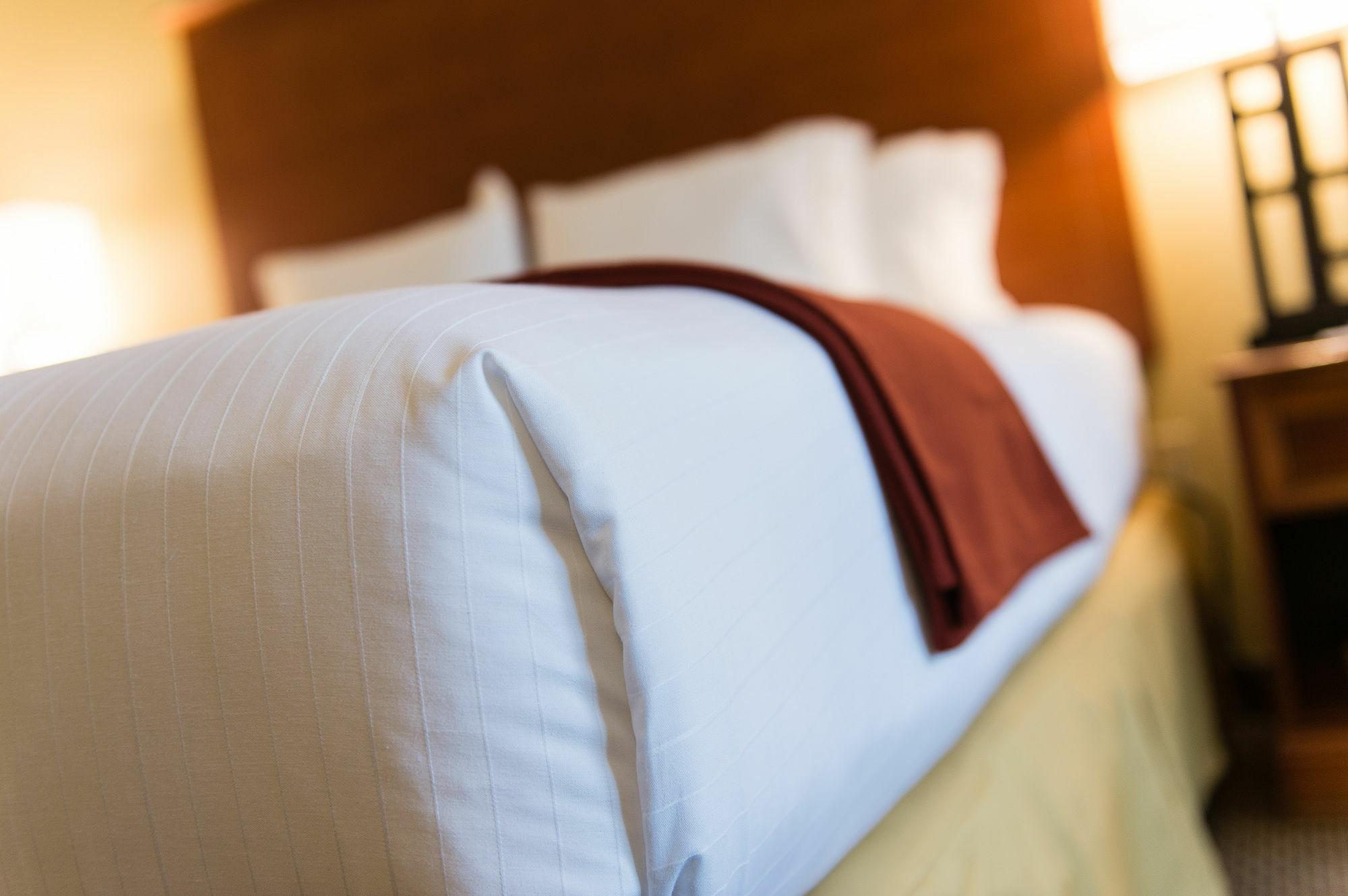 Holiday Inn Express & Suites Columbia-I-26 @ Harbison Blvd By Ihg 外观 照片